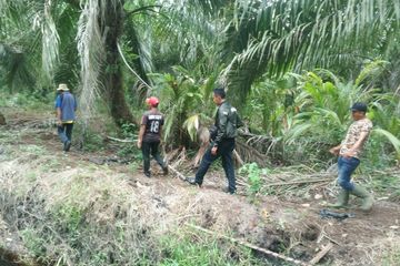 Tim Rescue Balai Besar KSDA Riau