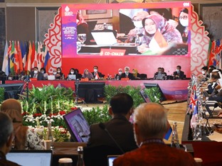 Indonesia dalam pertemuan EDM-CSWG G20