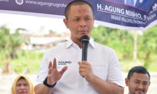 Wakil Ketua DPRD Riau Agung Nugroho (foto/int)