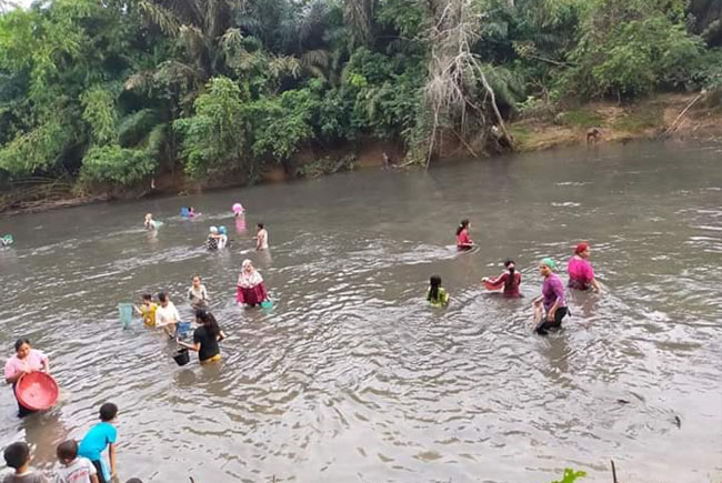  Warga truun ke sungai, ramai ramai mencari ikan yang mati di aliran Sungai Batang Kumu, diduga akibat tercemar limbah PKS berada di Hulu Sungai Batang Kumuh di Padang Lawas, Sumatera Utara