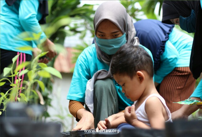 Dompet Dhuafa Riau gulirkan Kebun Pangan Keluarga.