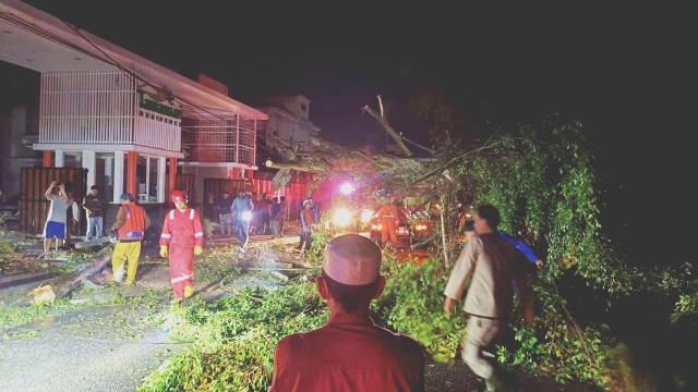 Petugas singkirkan pohon tumbang di Pekanbaru akibat hujan badai (foto/int)