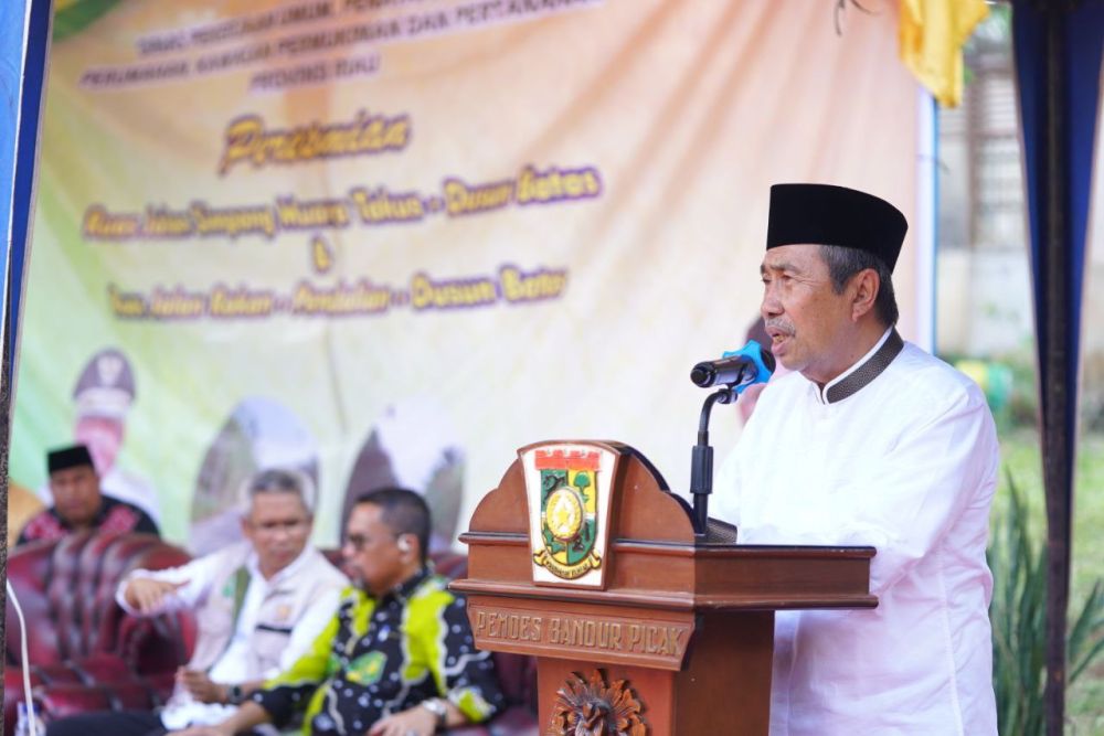 Gubernur Riau, Syamsuar.(foto: int)