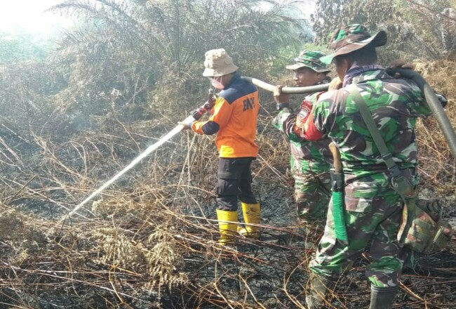 Tim gabungan berjibaku memadamkan kebakaran lahan di Kecamatan Sungai Sembilan Kota Dumai.