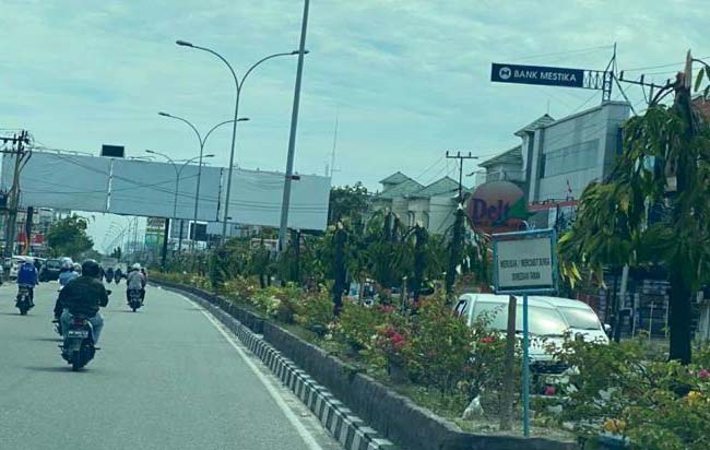 Pohon di Jalan Tuanku Tambusai Pekanbaru yang dipotong tersangka karena diduga menghalangi bando reklame.