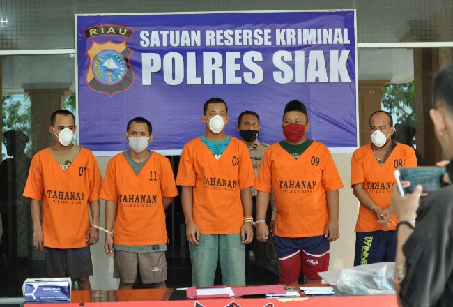 Lima orang penyelundup bawang ilegal ditahan Polres Siak.