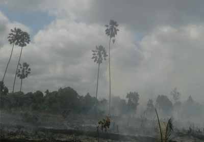 Lahan terbakar di Riau yang sedang dilakukan pemadaman 0leh petugas.