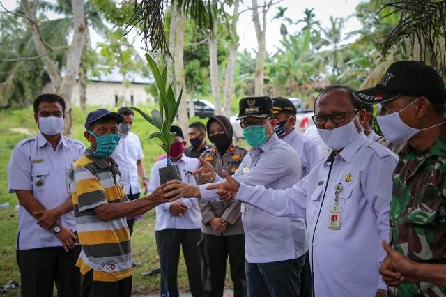 Walikota Dumai H Zulkifli As menyerahkan bantuan bibit pinang kepada Kelompok Tani Maju Bersama Bukit Kapur, Kota Dumai.