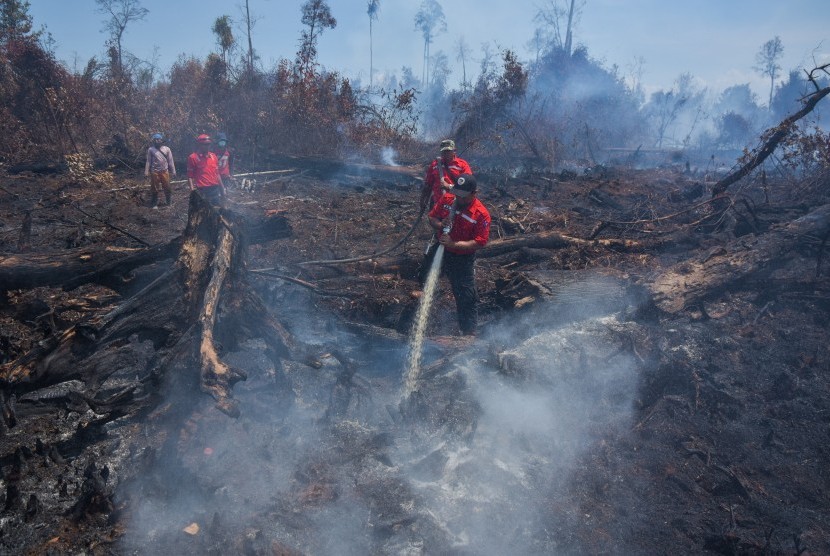Ilustrasi kebakaran lahan di Kabupaten Bengkalis