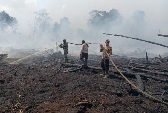 Ilustrasi petugas memadamkan Karhutla di Riau (foto/int)