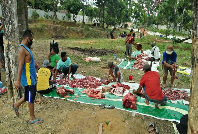Pemotongan hewan kurban yang dilaksanakan PWNU Riau.