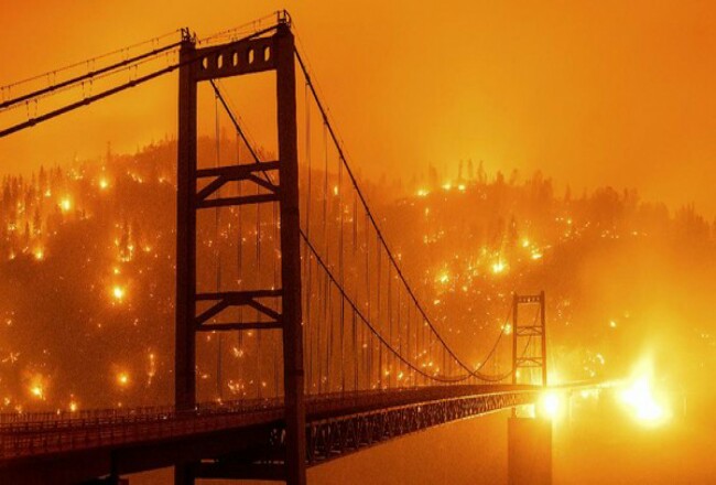  Kebakaran hutan di California. Foto: CNNIndonesia