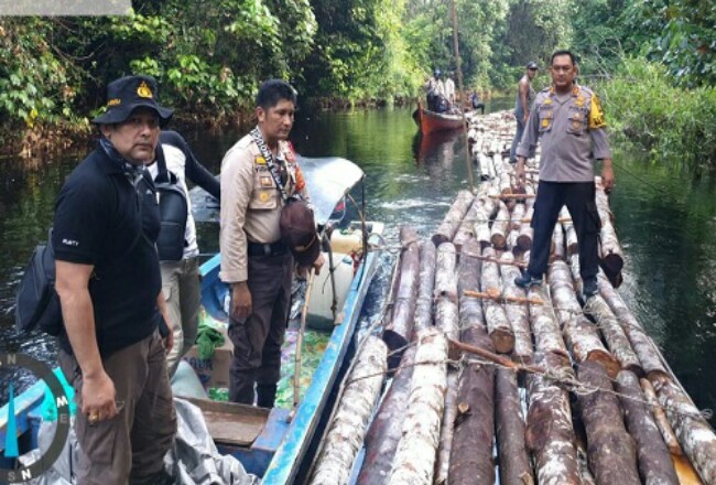 Polres Siak temukan kayu illegal logging.