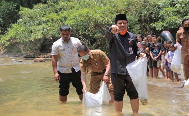   Sekda Abdul Haris, Kepala DKPP, Camar Tandun dan warga, ikut menabur 10 ribu ekor benih ikan di objek wisata Pemandian Napal Sei Puo