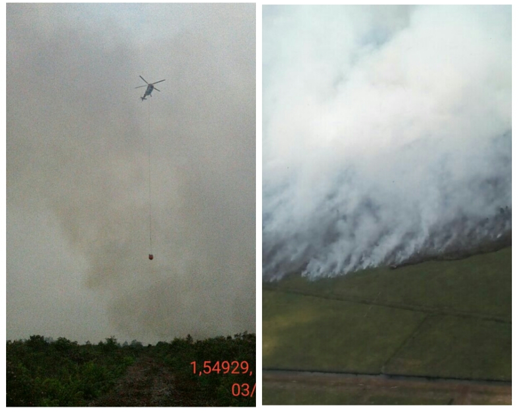 Helikopter Super Puma PEKANDA melakukan waterbooming dilokasi yang terbakar di perbatan Bengkalis dan Dumai