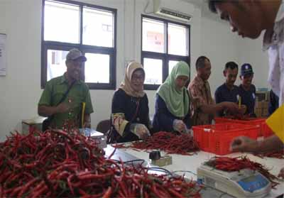 Bimtek pasca panen untuk petani yang dilaksanakan di Bogor.