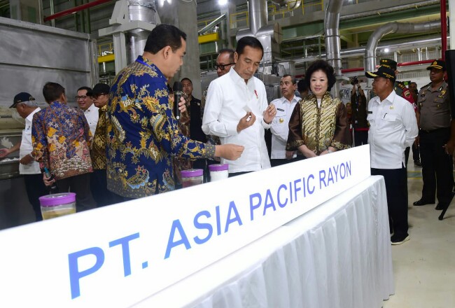 Presiden Jokowi meresmikan APR di Pelalawan.