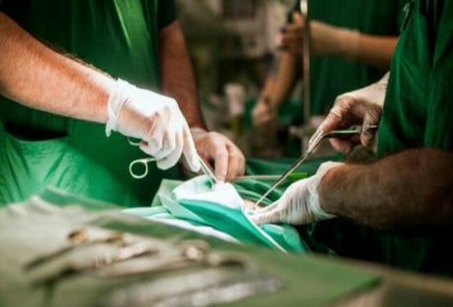 Dokter mengeluarkan ular 1,2 meter dari mulut pasien. Foto: Detik