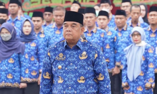 Gubernur Riau, Edy Natar Nasution.(foto: mcr)