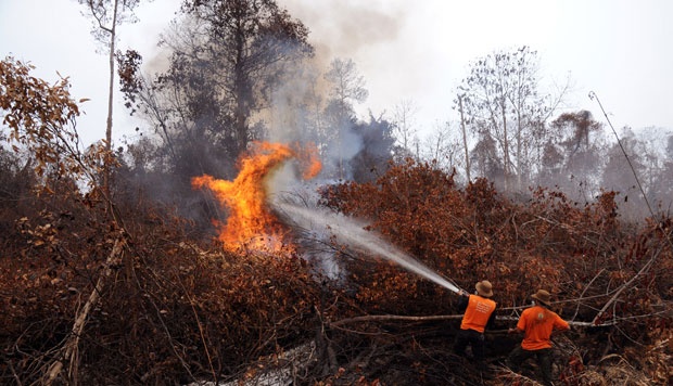 Kebakaran lahan di Rupat