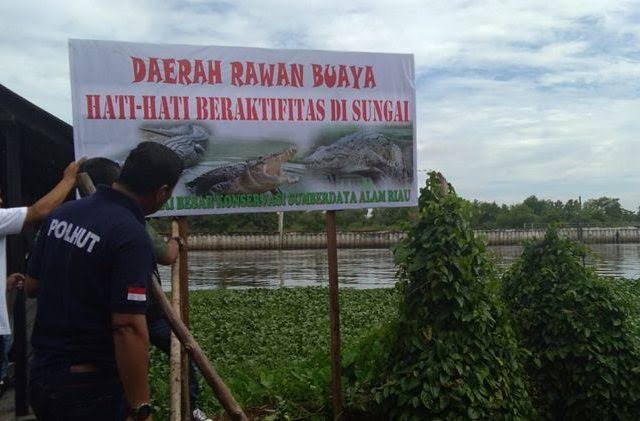Papan imbauan kemunculan buaya di Sungai Siak Pekanbaru.(foto: int)