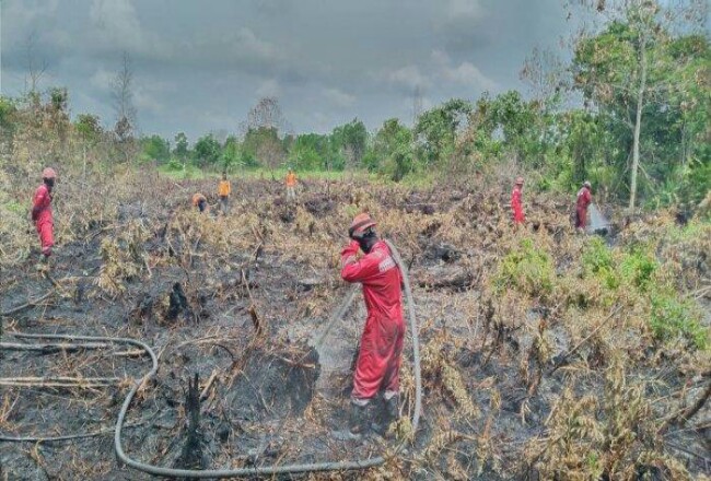 Manggala Agni tetap turun ke lapangan untuk memadamkan lahan terbakar di Kota Pekanbaru. Foto: Tribunpekanbaru
