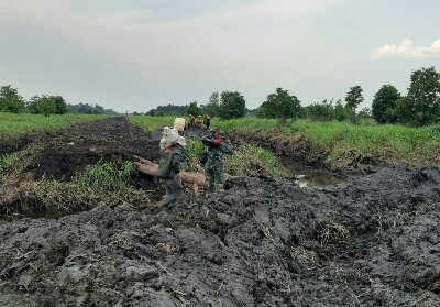 Prajurit TNI patroli di Hutan TNTN.