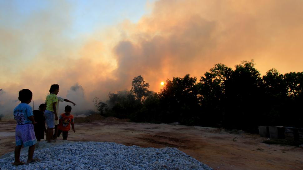 Ilustrasi kebakaran hutan dan lahan