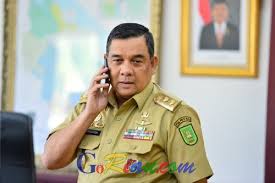 Wakil Gubernur Riau (Wagubri) Edy Natar Nasution