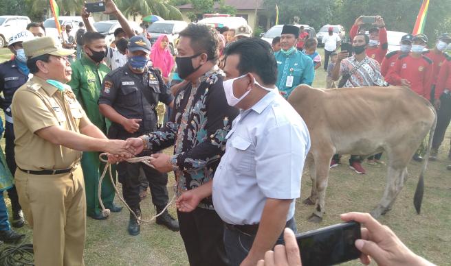 Bupati Sukiman serahkan dua ekor sapi ke Manager PT.PIPS I dan General Manager PT.PSA, saat silaturrahmi yang ditaja PT.Rajawali Perkasa Jaya.