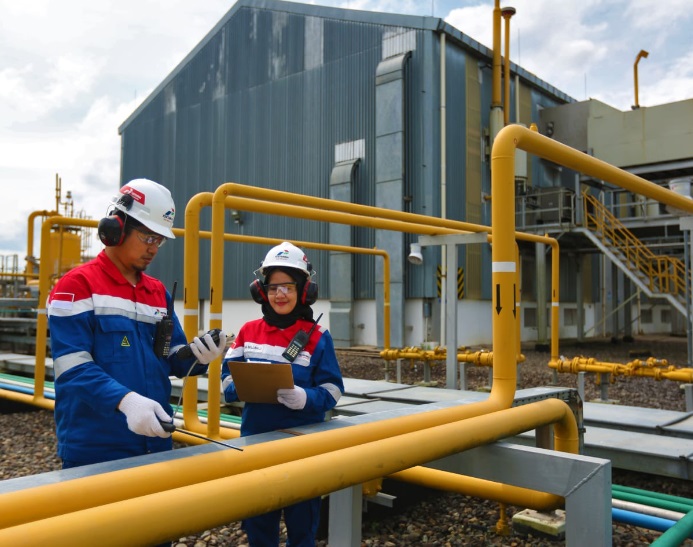 PT PGN Tbk, Subholding Gas Pertamina
