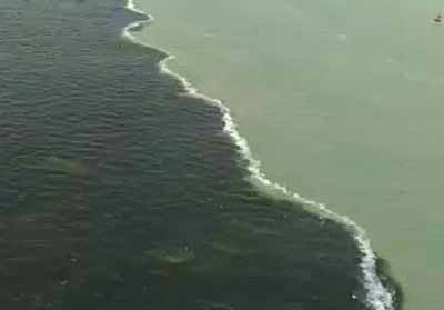 Perbedaan warna air laut di bawah Jembatan Suramadu menjadi viral di media sosial.