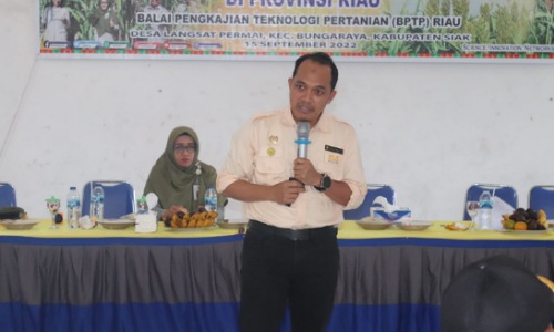 Kepala Balai Penelitian Tanaman Serealia Maros Dr Amin Nur saat sosialisasi sorgum di Siak.(foto: istimewa)