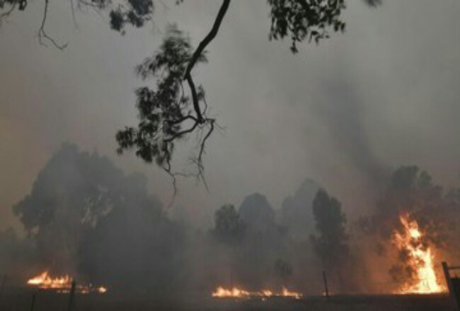 Pesawat pemadam api dilaporkan hilang saat memadamkan kebakaran hutan di New South Wales, Australia. Foto: CNNIndonesia