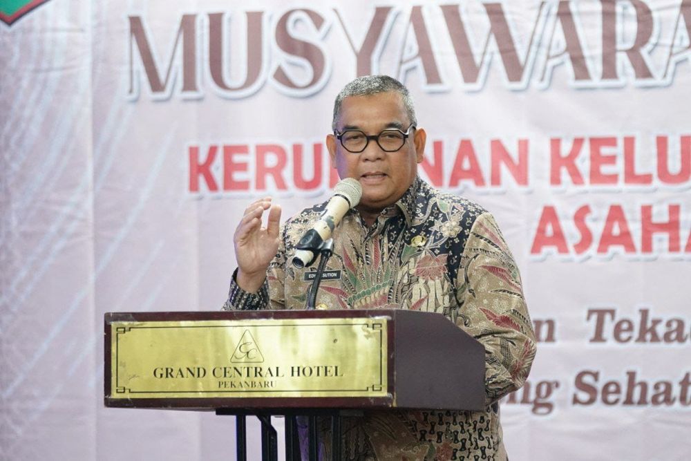 Gubernur Riau, Edy Natar Nasution (foto/int)
