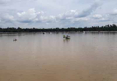 Sawah terendam banjir di Koto Kari dan Pulau Godang Kari belum lama ini.