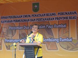 Gubernur Riau, Syamsuar saat peresmian Jalan Paus Rumbai (foto/int)