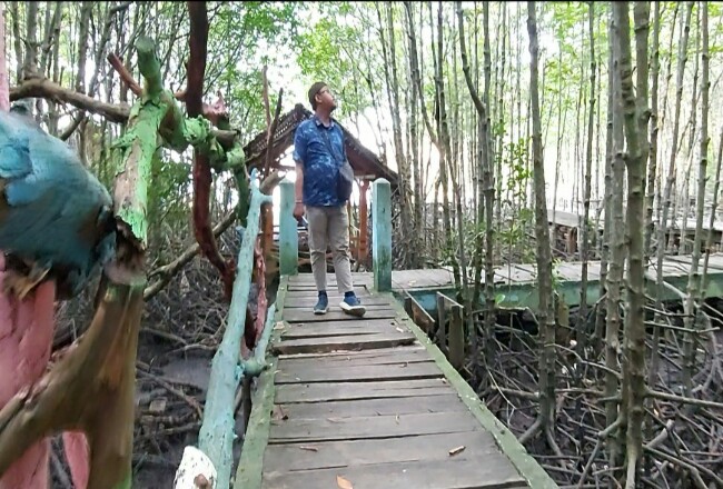 Salah satu pengunjung Bandar Bakau menikmati keindahan tanaman mangrove dan beraneka ragam spesies yang hidup berdampingan di kawasan hutan mangrove.

