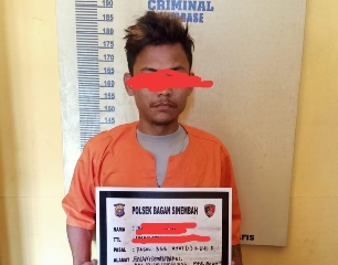 Pelaku pencurian ditangkap Polsek Bagan Sinembah di Lintas Riau-Sumut Km 30 (foto/zal)