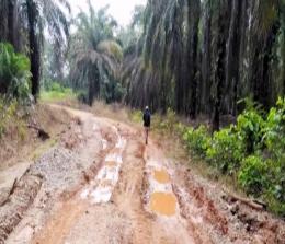 Kondisi jalan menuju perkebunan masyarakat di Dusun Lubuk Ngarai yang butuh perbaikan dan perawatan.
