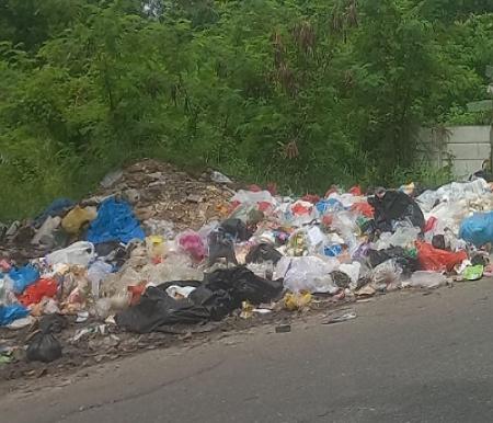 Tumpukan sampah di TPS ilegal di Pekanbaru.(foto: dini/halloriau.com)