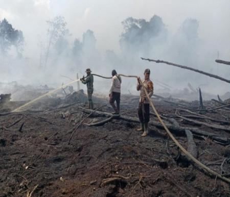 Ilustrasi Provinsi Riau masih rawan Karhutla di musim kemarau (foto/int)