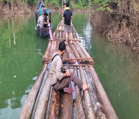 Ratusan tual kayu yang sudah diikat ditemukan di sungai kawasan Wisata Gulamo.(foto: int)