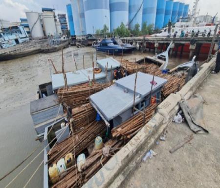 Dua kapal pengangkut kayu dan PMI ilegal diamankan BC Dumai.(foto: bambang/halloriau.com)