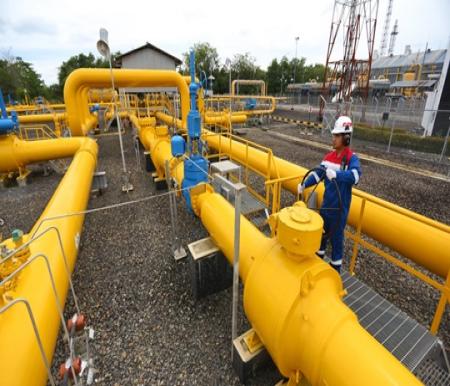 PGN menjamin keberlanjutan bisnis dan meningkatkan pemanfaatan gas domestik (foto/ist)