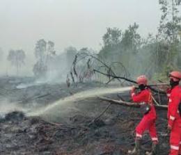 Ilustrasi pemadaman Karhutla di Riau.
