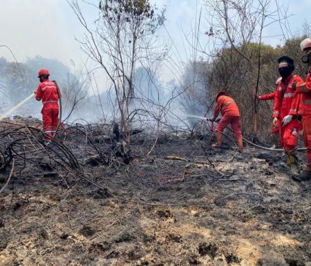 Ilustrasi petugas pemadam melakukan pemadaman Karhutla di Riau (foto/int)
