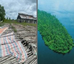 Cagar Alam Pulau Berkey di Rohil yang kayu bakau (kanan) diambil dan diekspor ke Malaysia (foto/int)