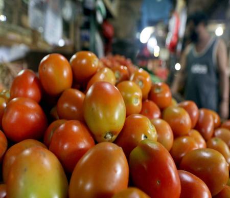 Ilustrasi harga tomat melonjak di Pekanbaru (foto/int)
