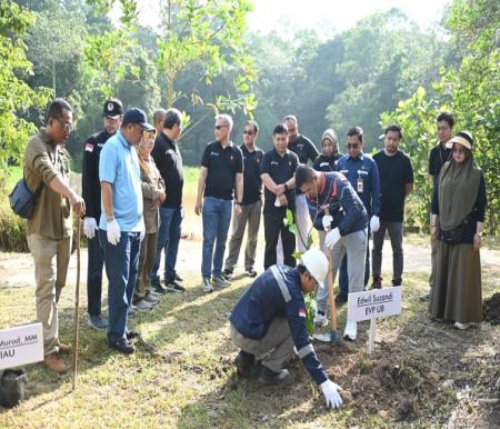 Gerakan menanam pohon pada peringatan Hari Lingkungan Hidup Sedunia PT Pertamina Hulu Rokan mengajak sejumlah pelajar menanam pohon di Kamp PHR Rumbai (foto/ist)